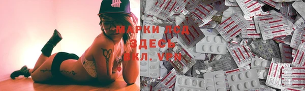 ПСИЛОЦИБИНОВЫЕ ГРИБЫ Бородино