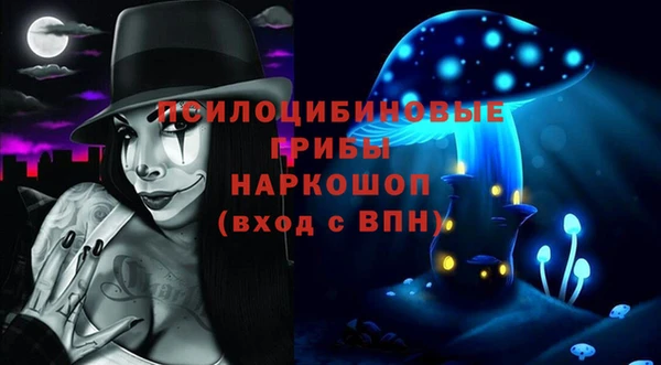 ПСИЛОЦИБИНОВЫЕ ГРИБЫ Бородино