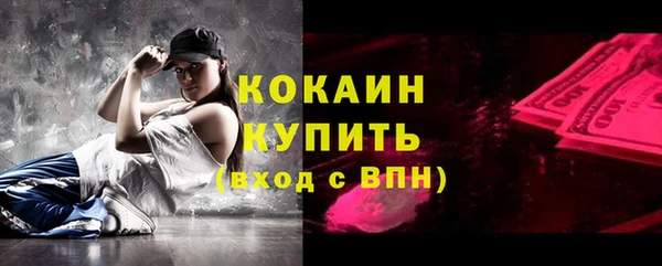 ПСИЛОЦИБИНОВЫЕ ГРИБЫ Бородино