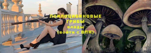 ПСИЛОЦИБИНОВЫЕ ГРИБЫ Бородино