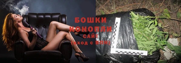 ПСИЛОЦИБИНОВЫЕ ГРИБЫ Бородино