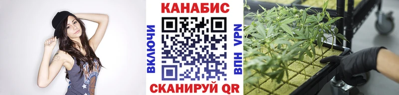 Каннабис гибрид  Динская 
